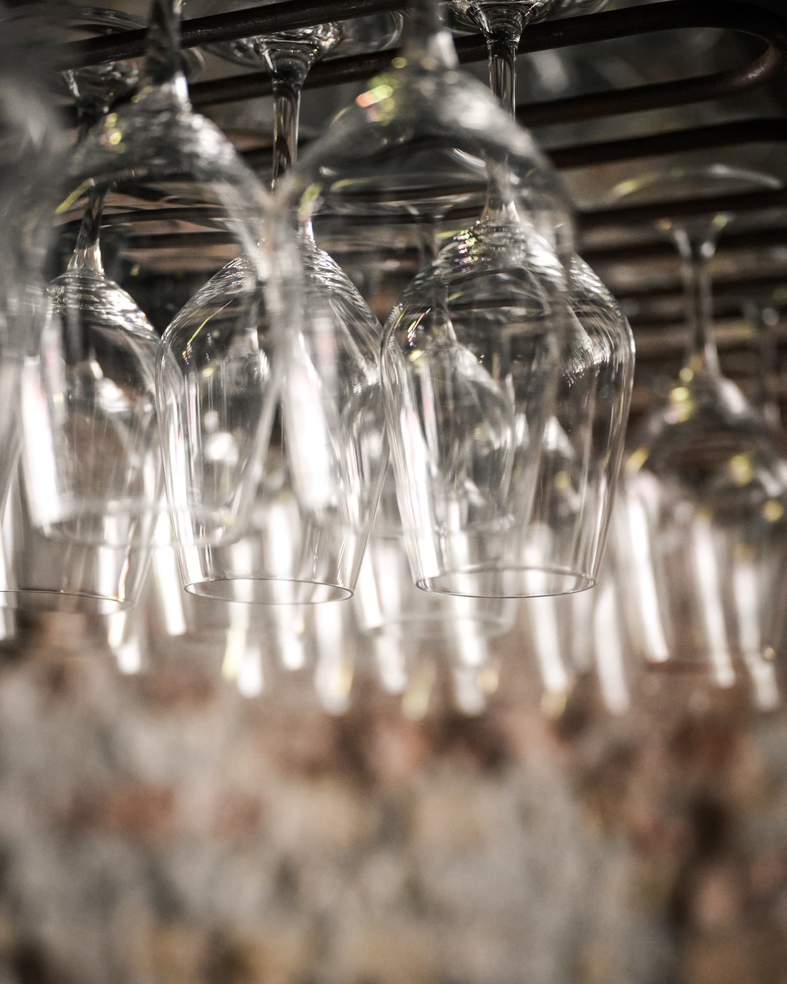 Glasses hanging above the bar